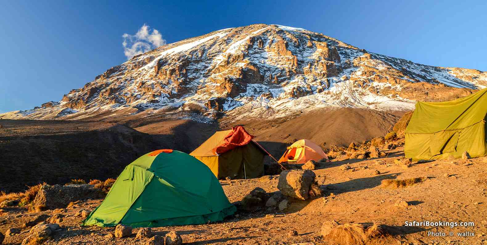 Tents below Uhuru Peak
