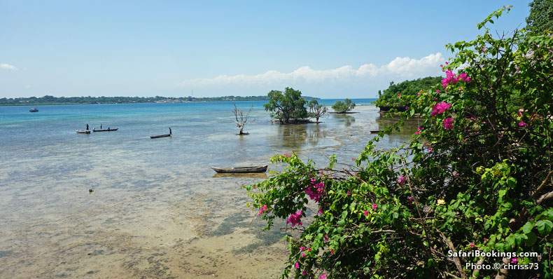 Boats on the water, Wasini Island