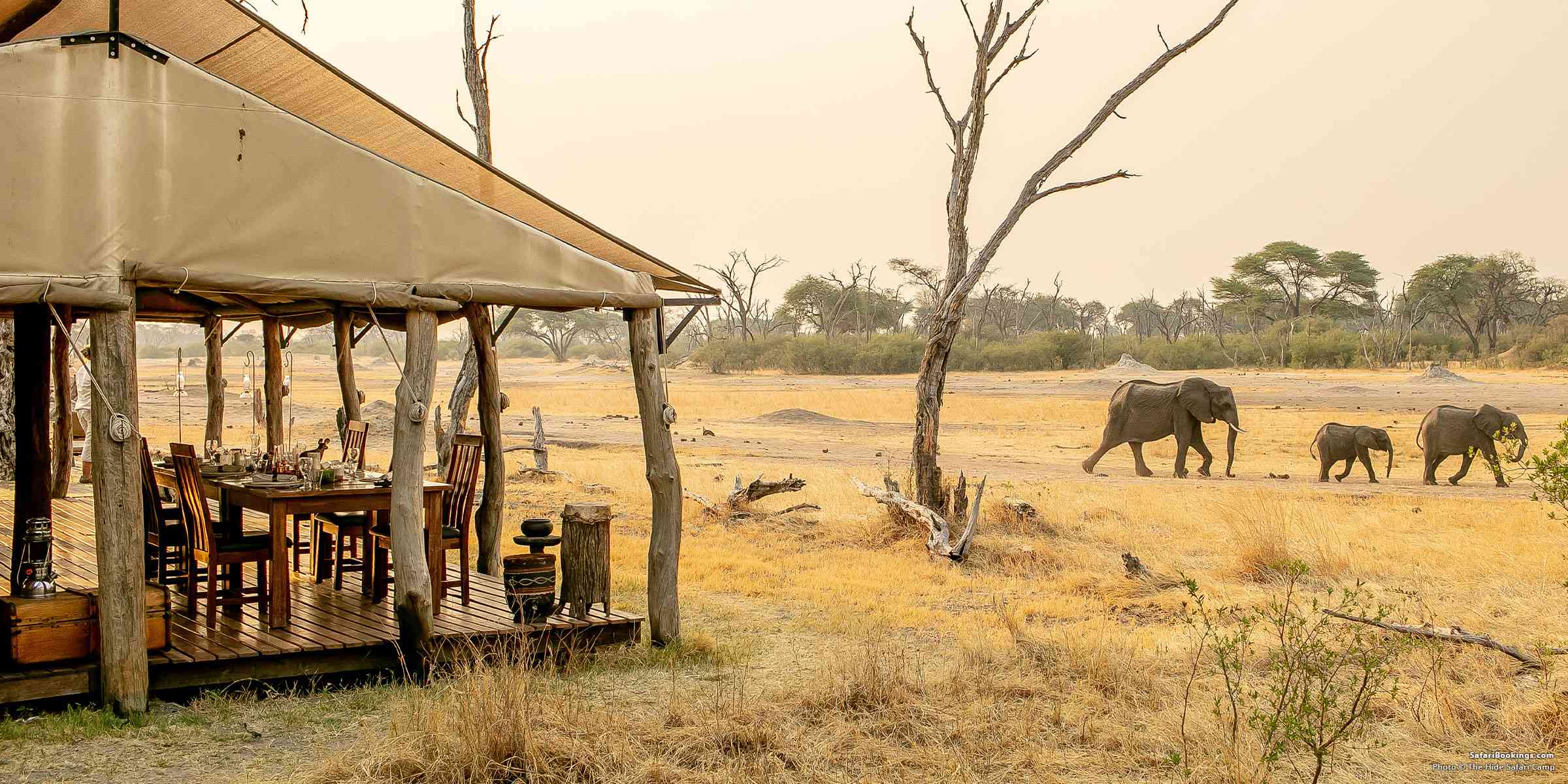 Top 10 Best Luxury Hwange Safari Lodges & Camps