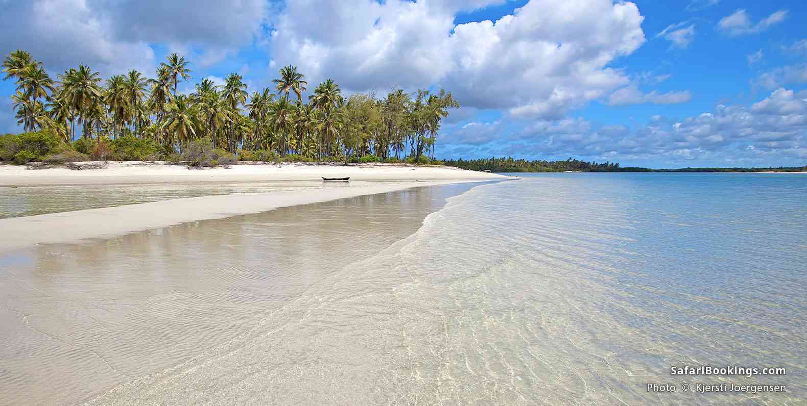Palm-lined beach on Mafia Island