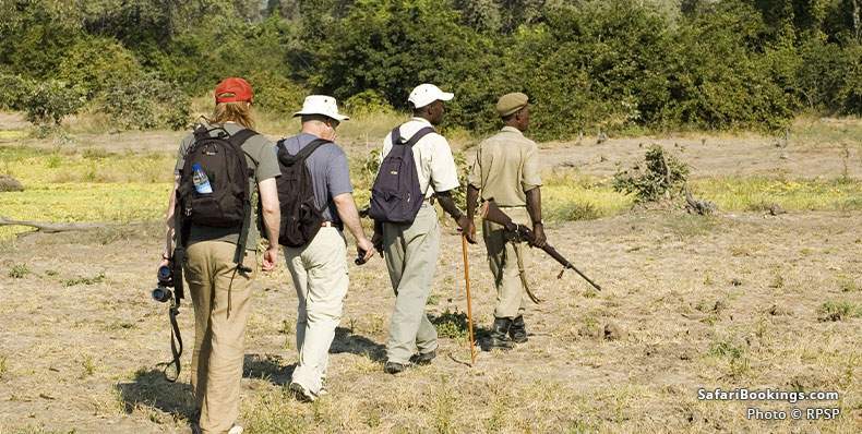Walking safari in South Luangwa National Park