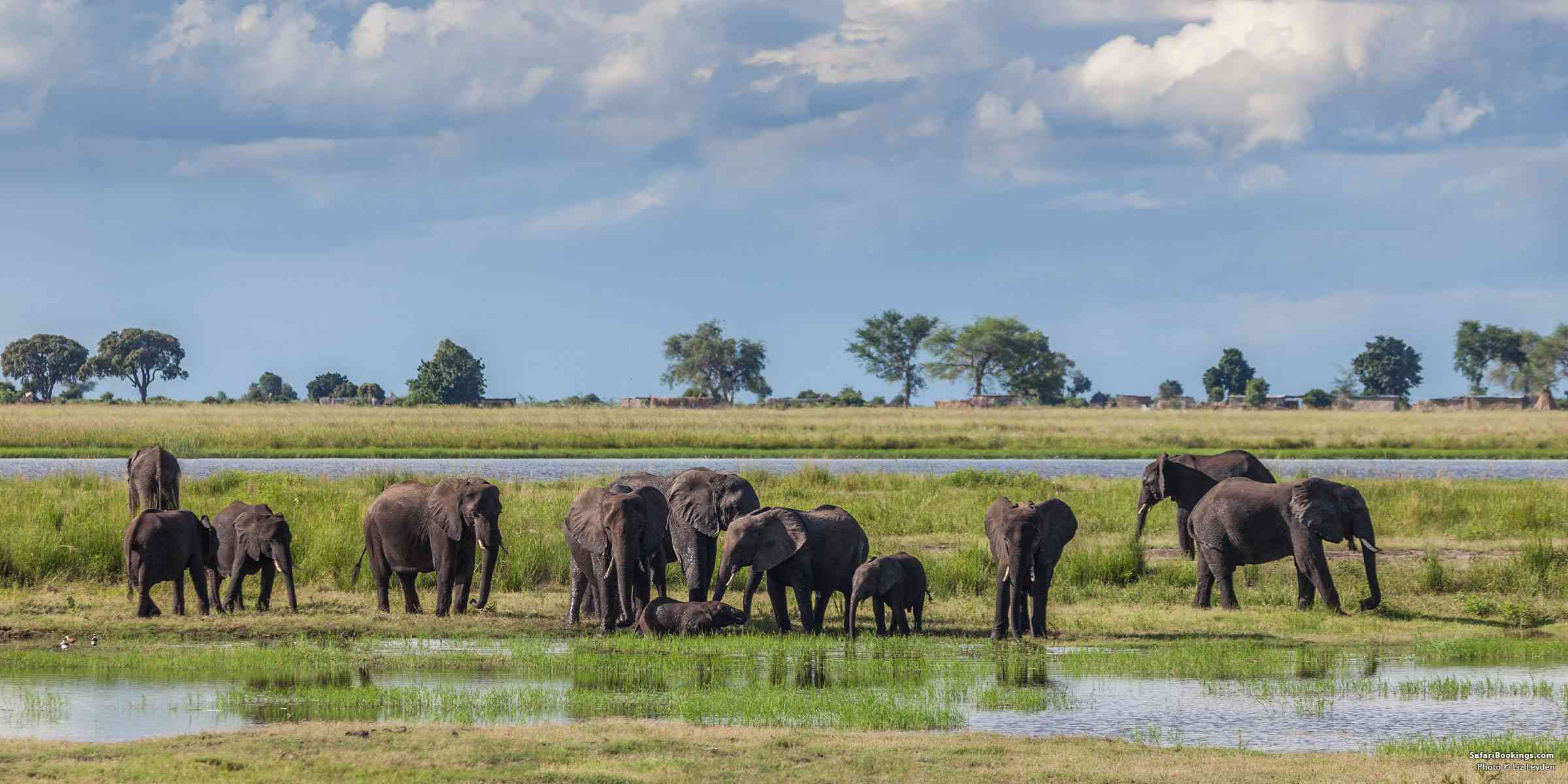 Africa’s Best Safari Country of 2025