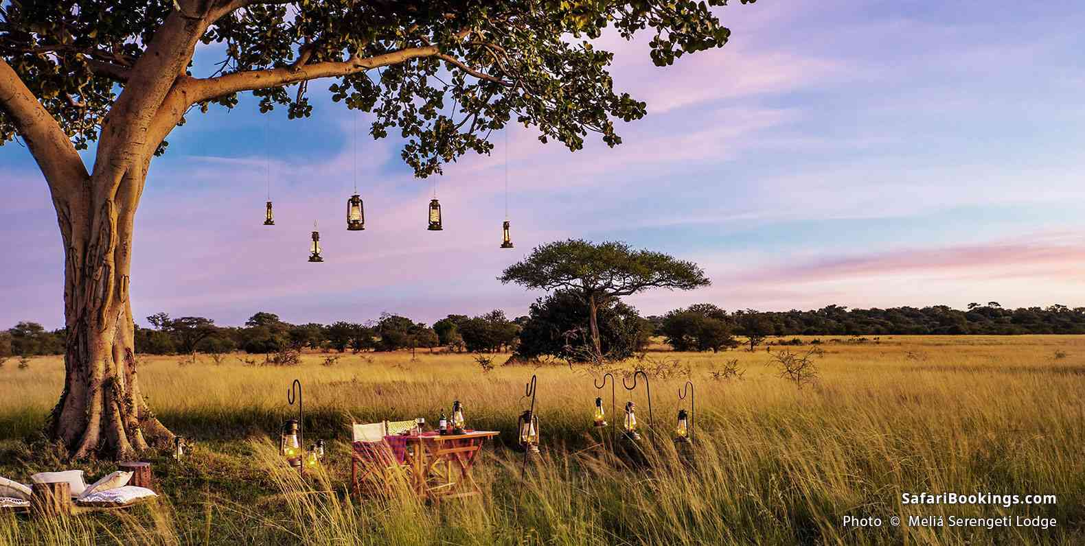 Meliá Serengeti Lodge