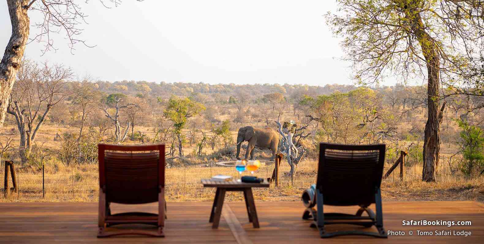 Tomo Safari Lodge