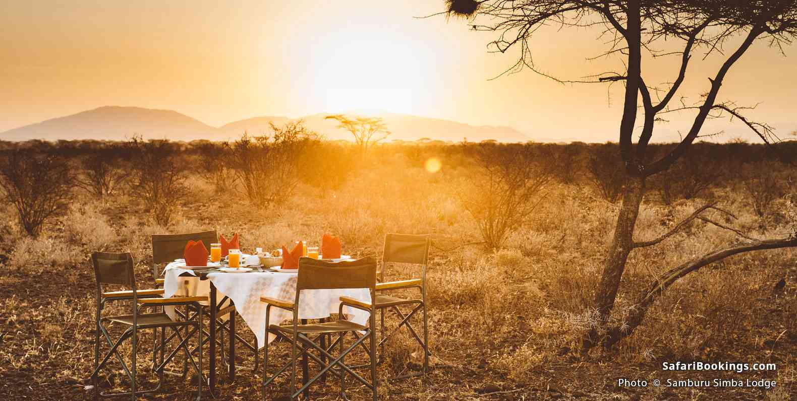 Samburu Simba Lodge