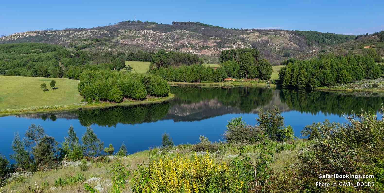 Lake in Nyanga National Park