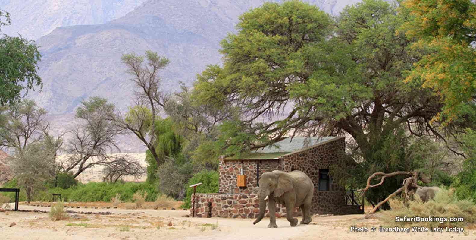 Brandberg White Lady Lodge