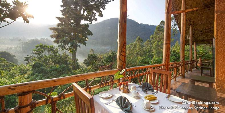 Terrace at Mahogany Springs Lodge