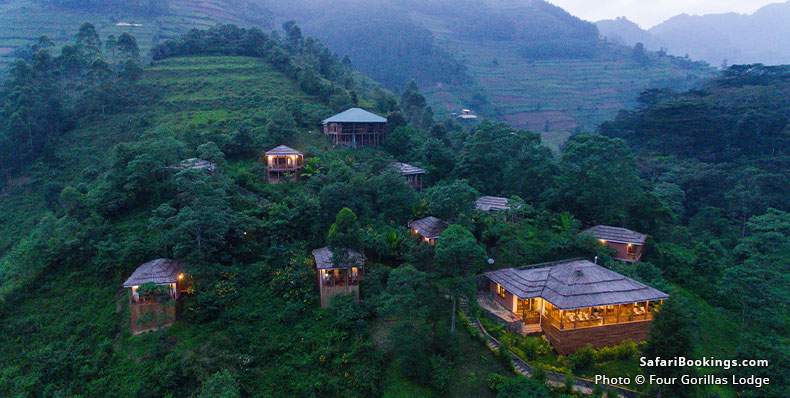 Aerial view of Four Gorillas Lodge