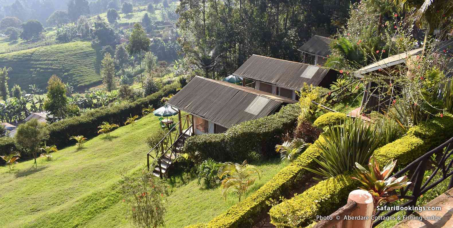Aberdare Cottages & Fishing Lodge