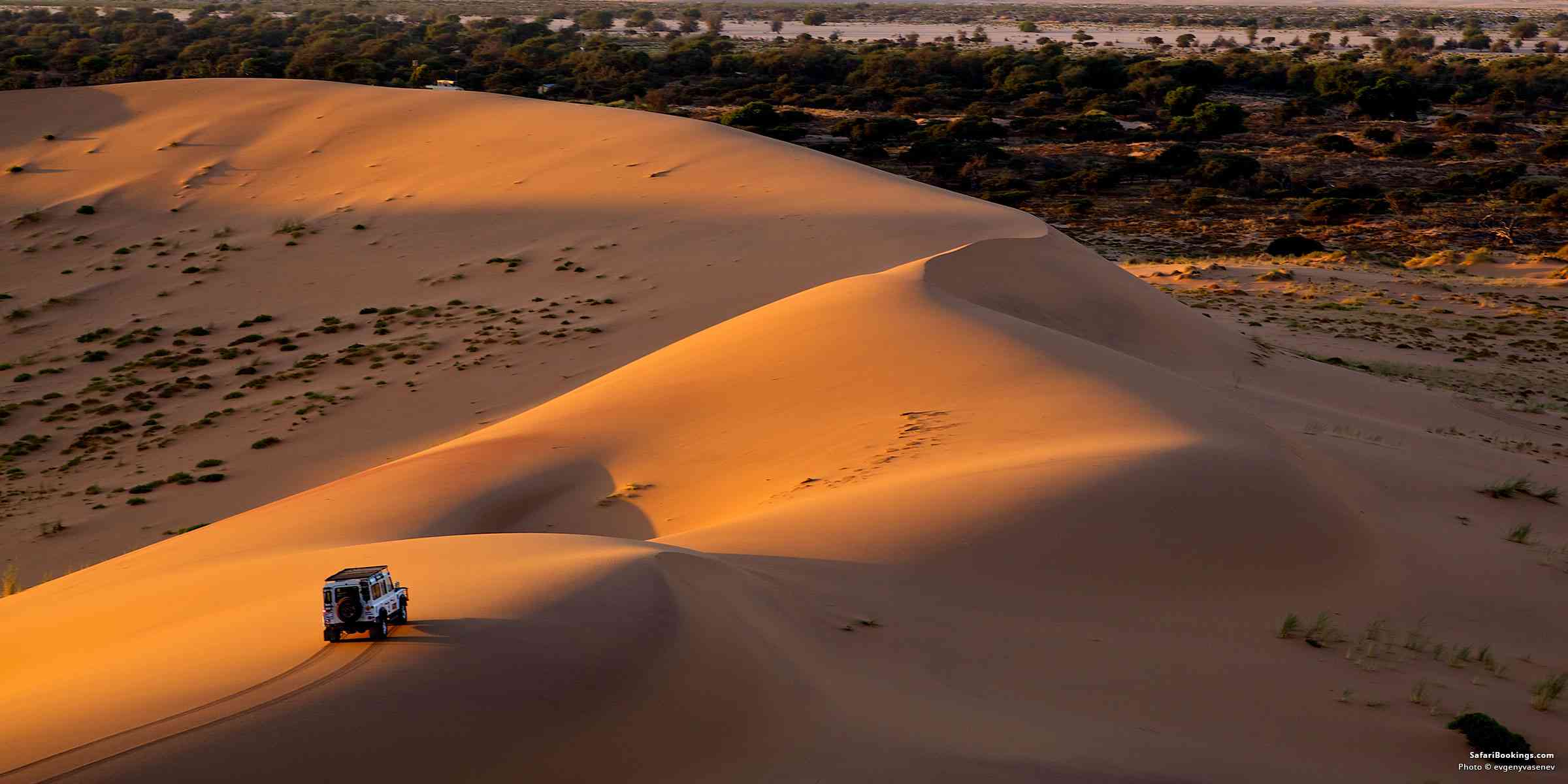 10 Interesting Namib Desert Facts