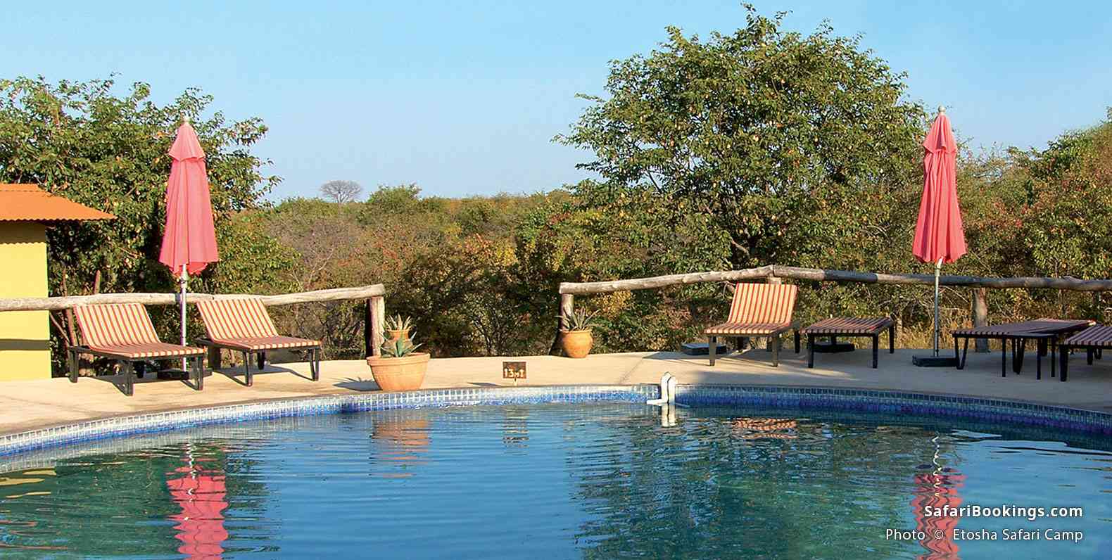 Swilling pool and a bushy landscape surrounding Etosha Safari Camp