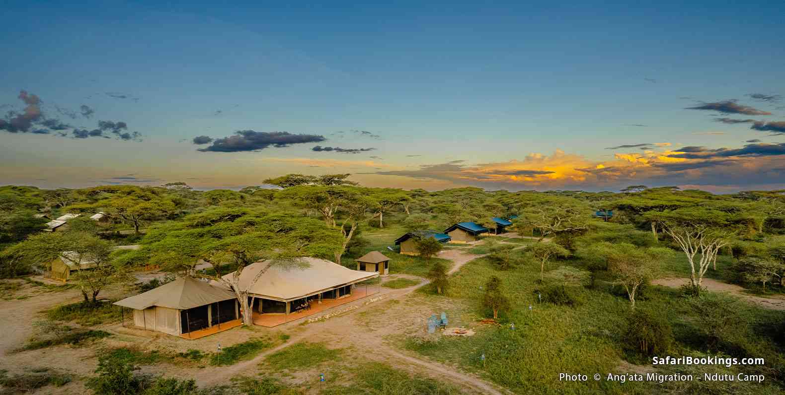 Ang’ata Migration – Ndutu Camp