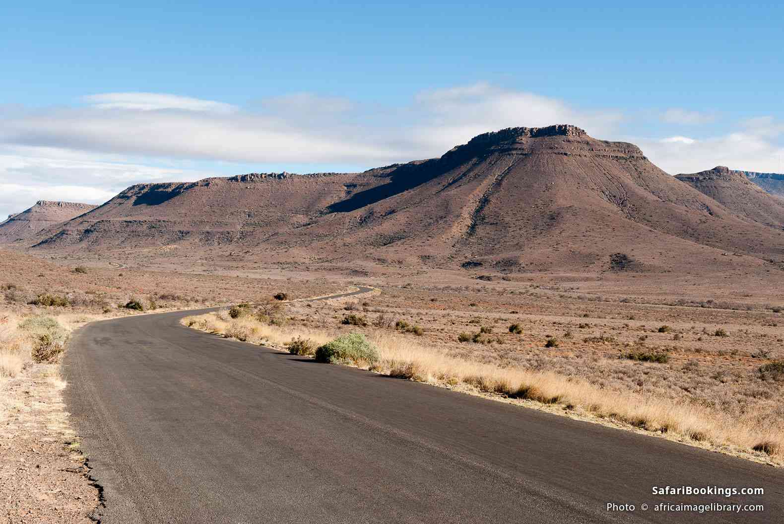 Road through the landscape, Karoo National Park