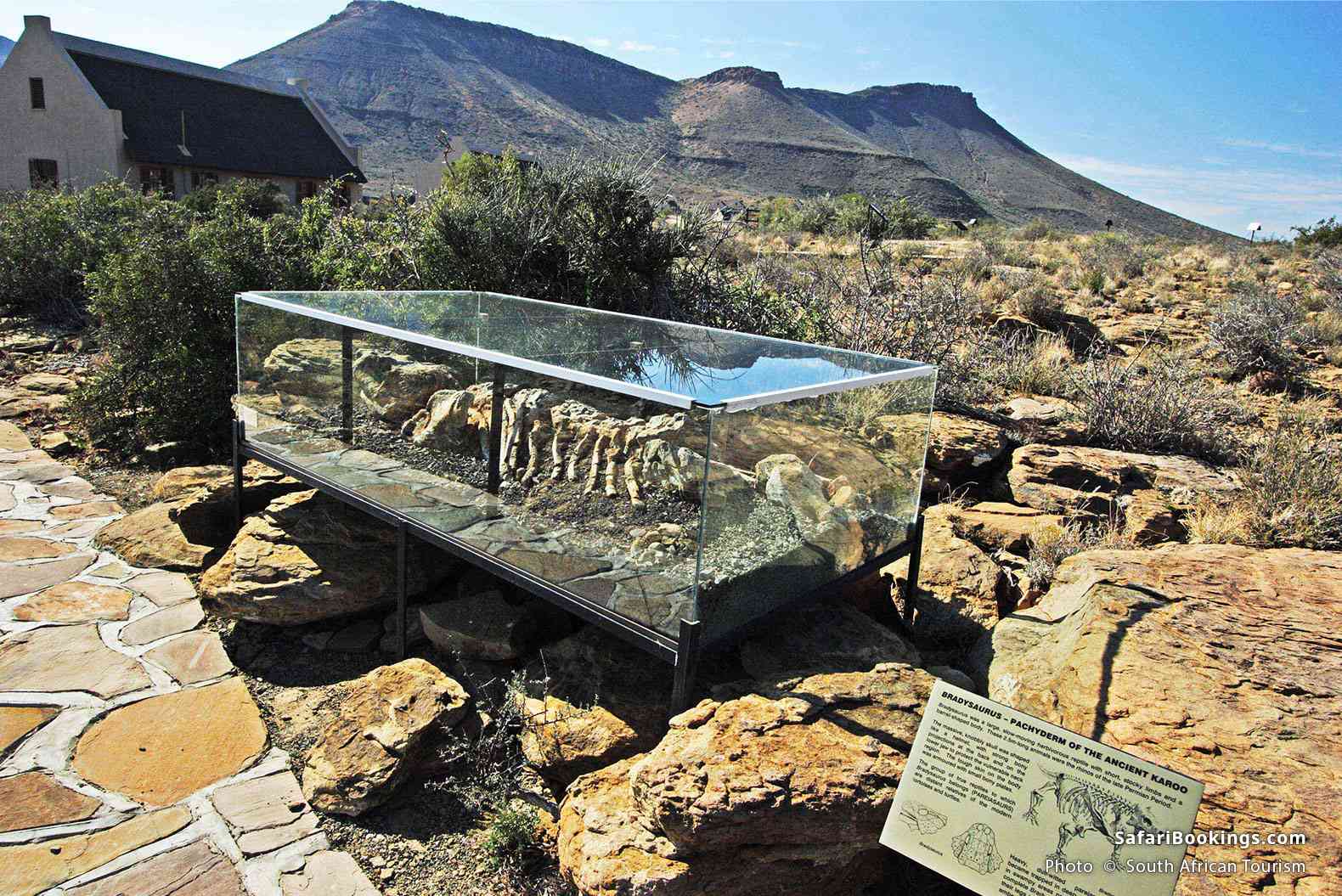 Fossil Trail, Karoo National Park