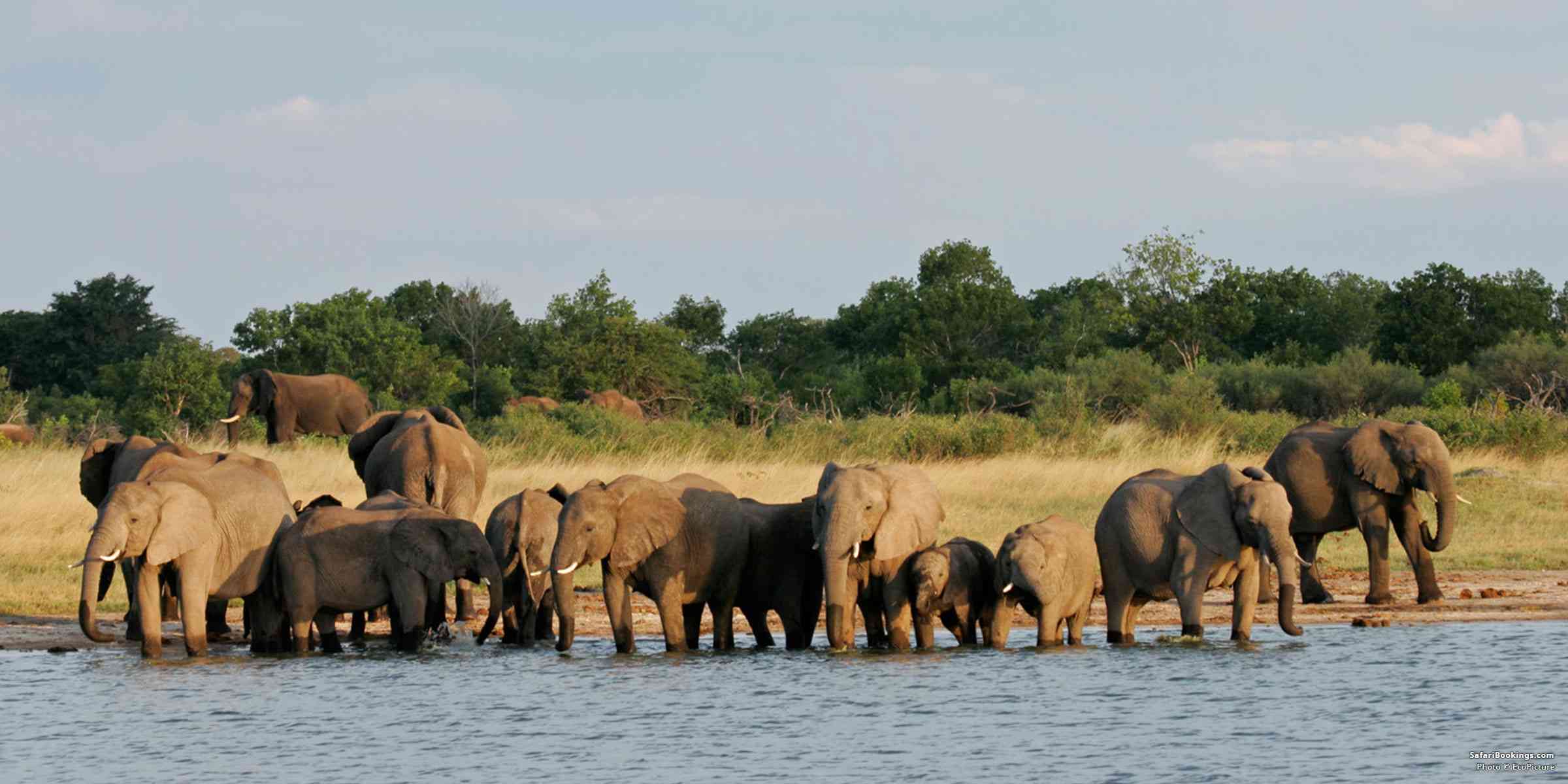 Guide to visiting Hwange National Park – All You Need To Know