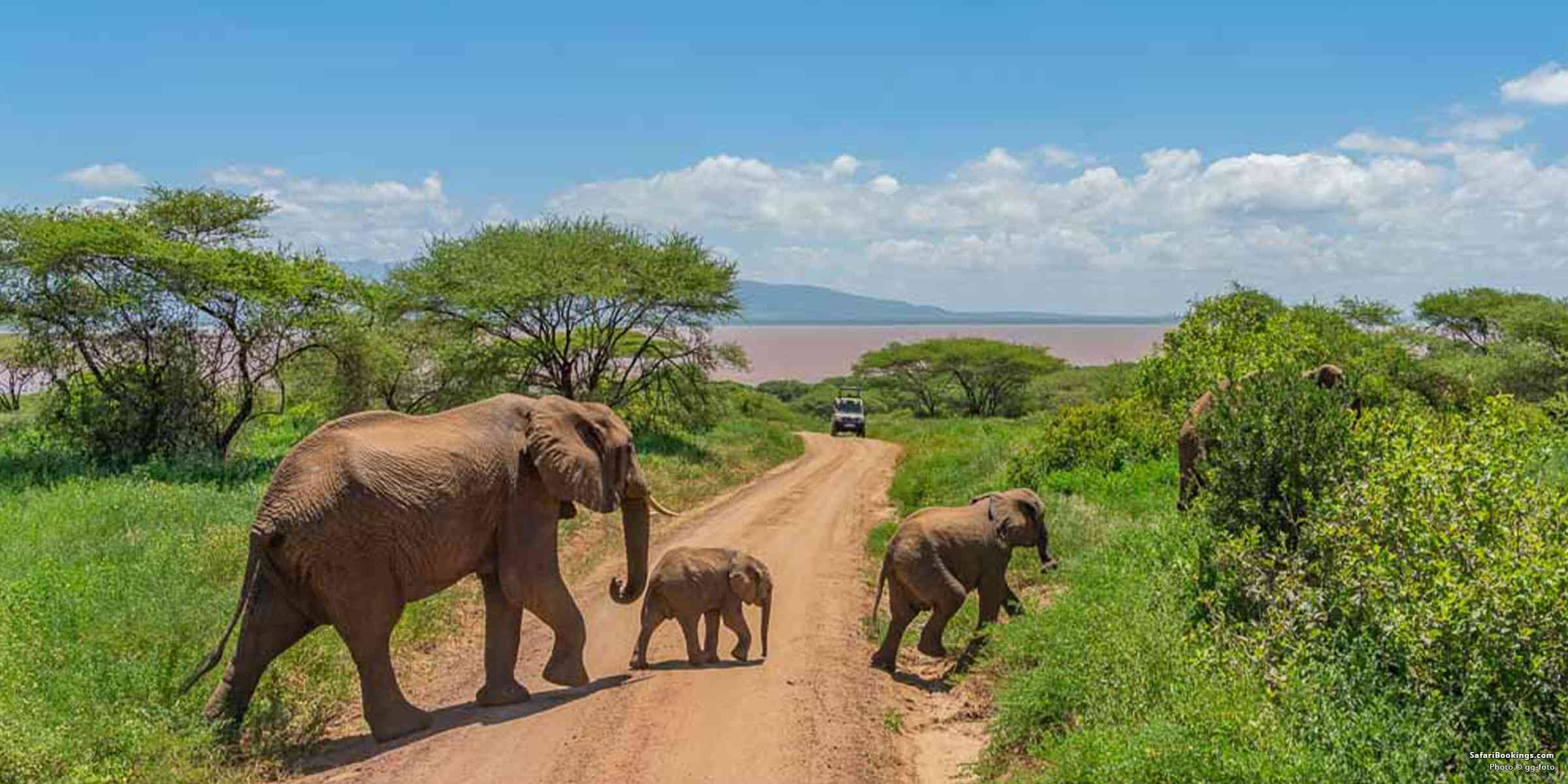 Guide to visiting Tarangire National Park – All You Need To Know