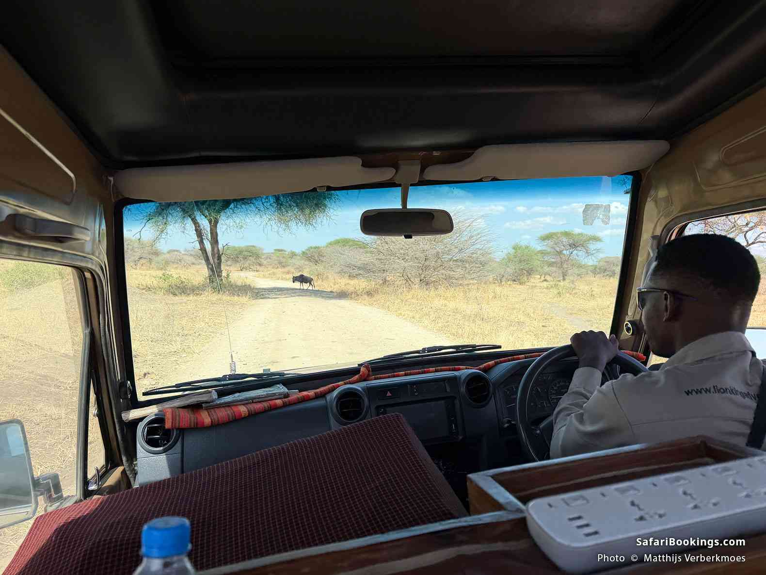 On a game drive in Tarangire National Park