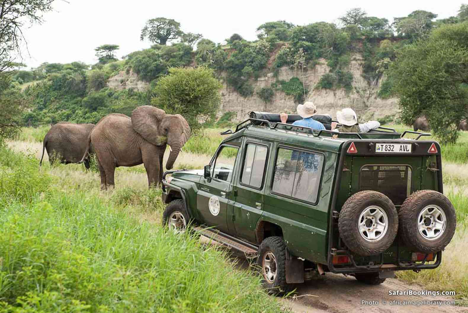 Visitors looking at elephants from their safari vehicle in Tarangire National Park