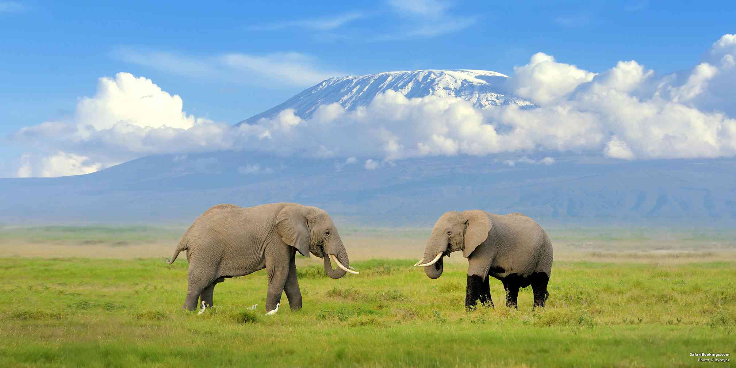 Guide to Visiting Amboseli National Park – All You Need To Know