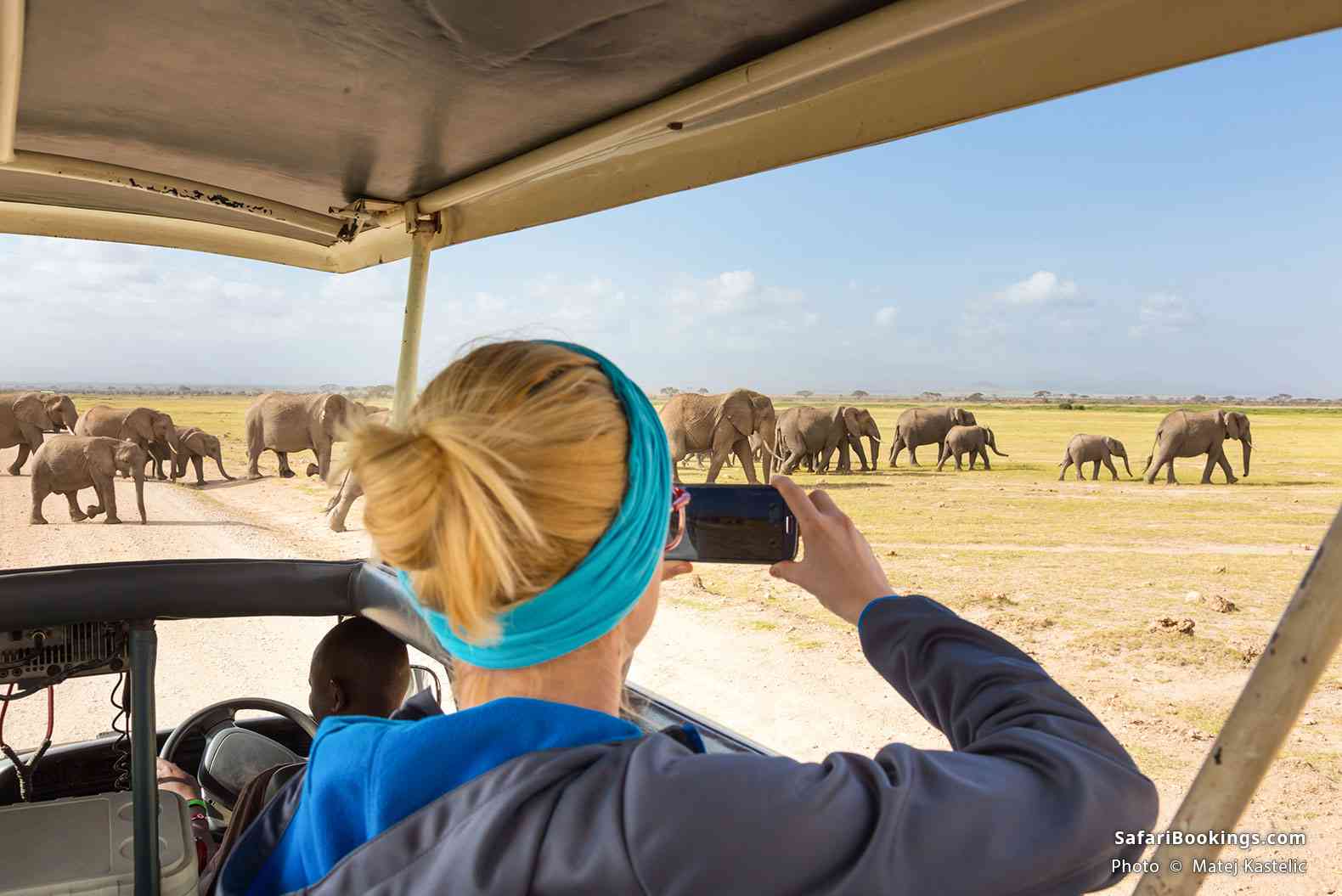 Traveler in a safari vehicle photographing elephants