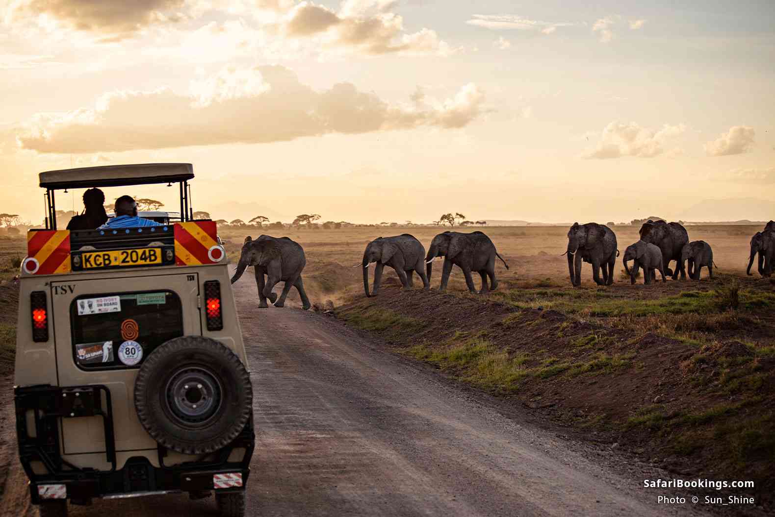 Safari vehicle and elephant herd at sunrise