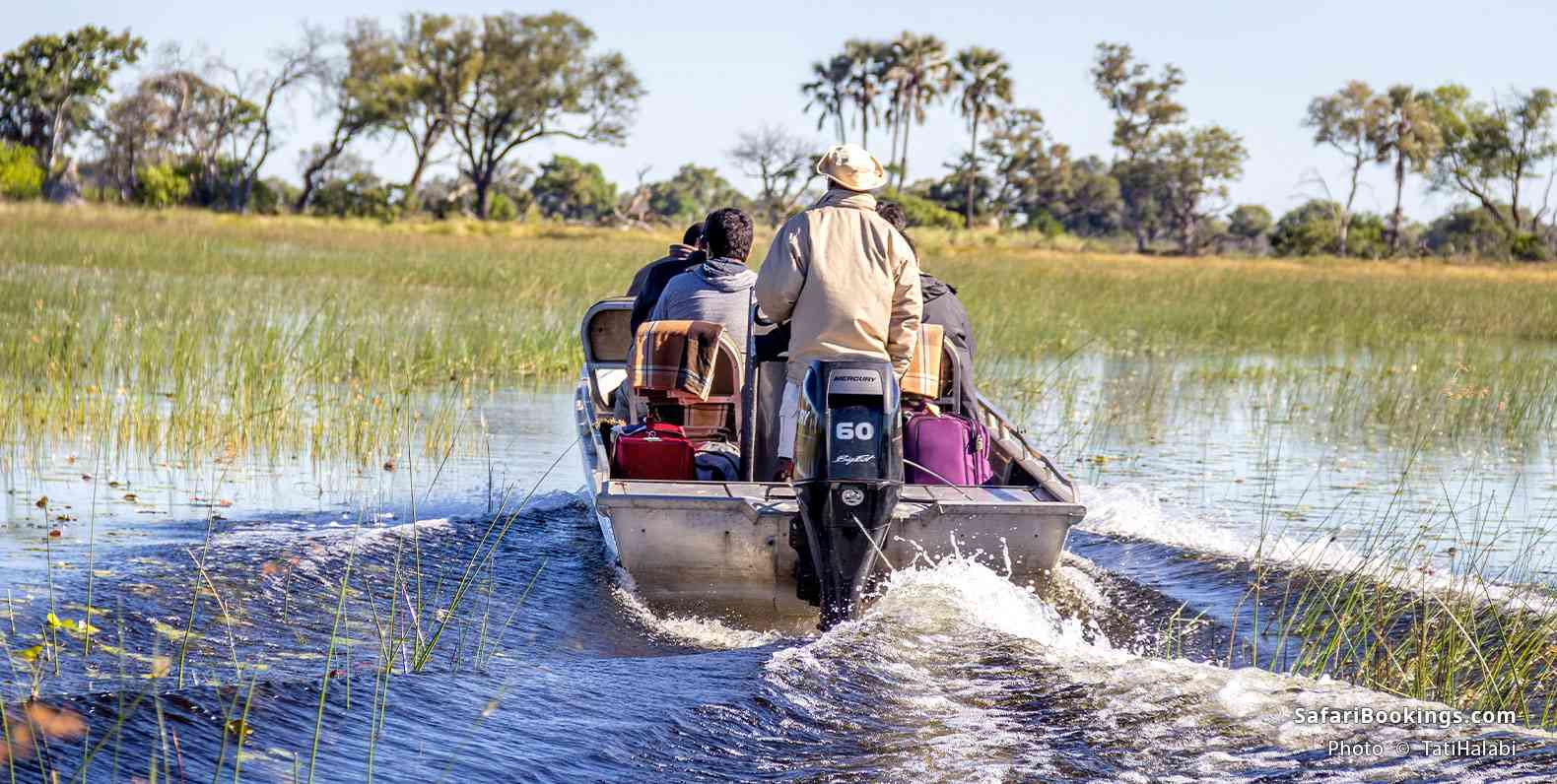 Motorboat crossing a flooded channel in the Okavango Delta