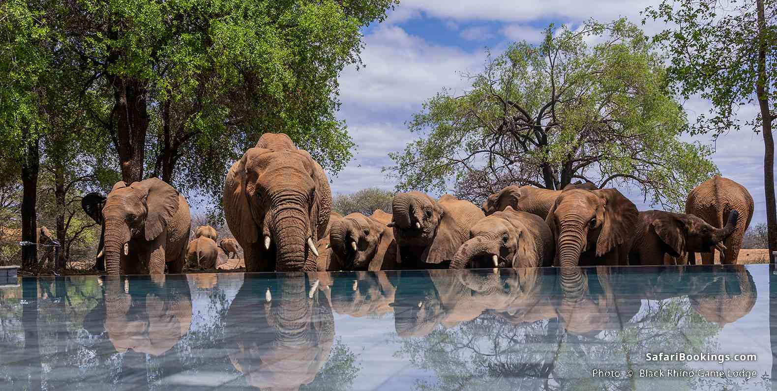 Black Rhino Game Lodge