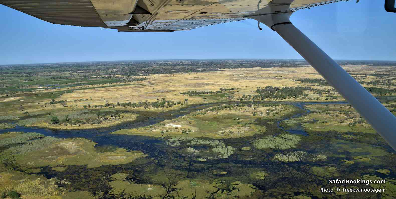 An aerial view of the Okavango Delta