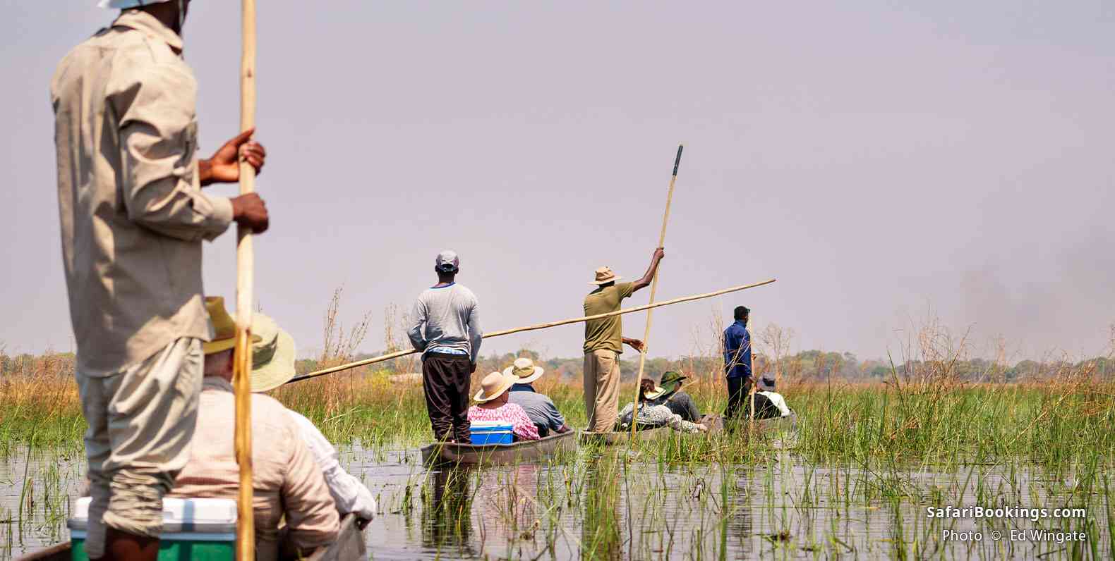 Guides pole tourists through the Okavango Delta