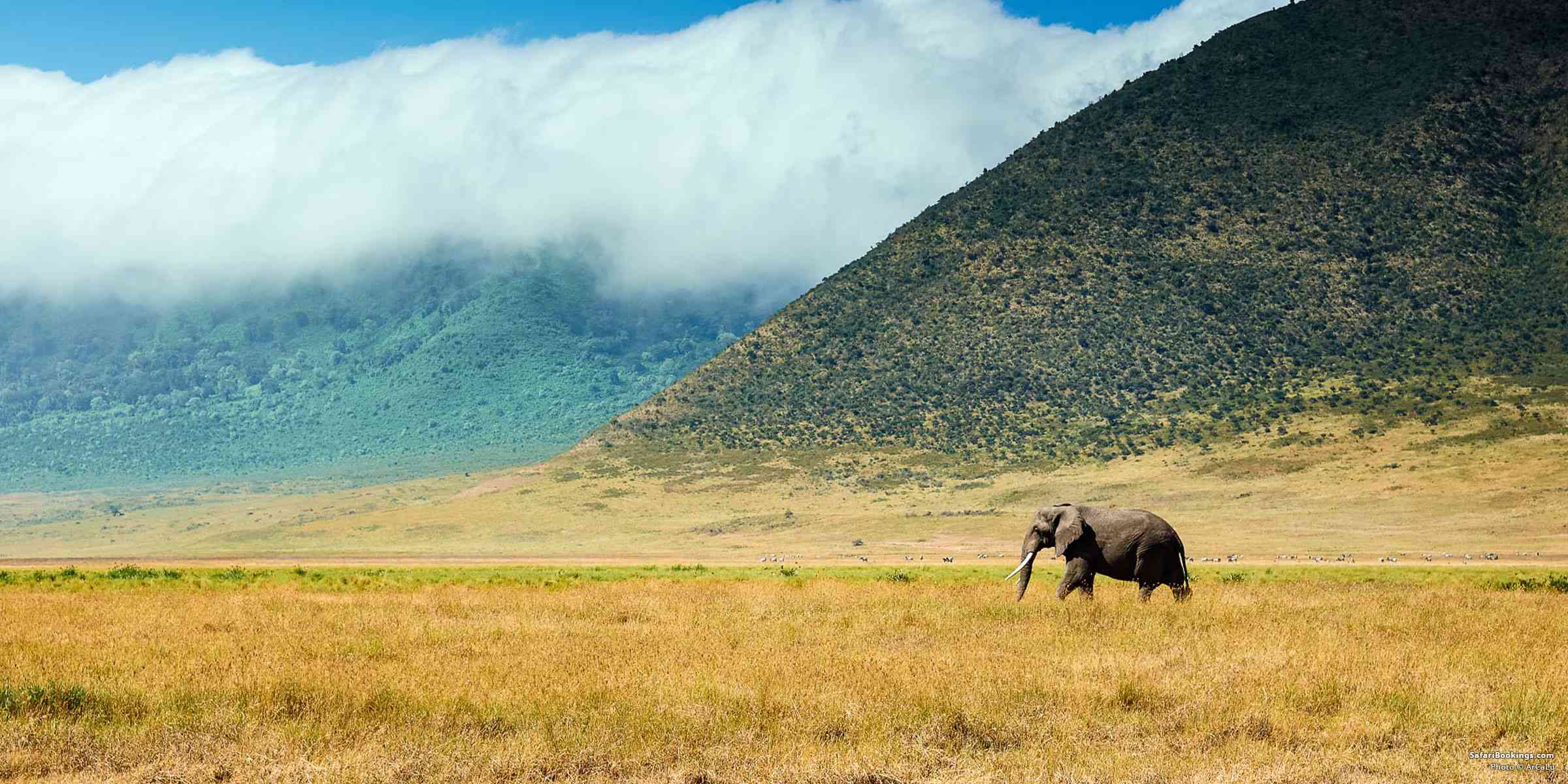 Guide to Visiting Ngorongoro Crater – All You Need To Know