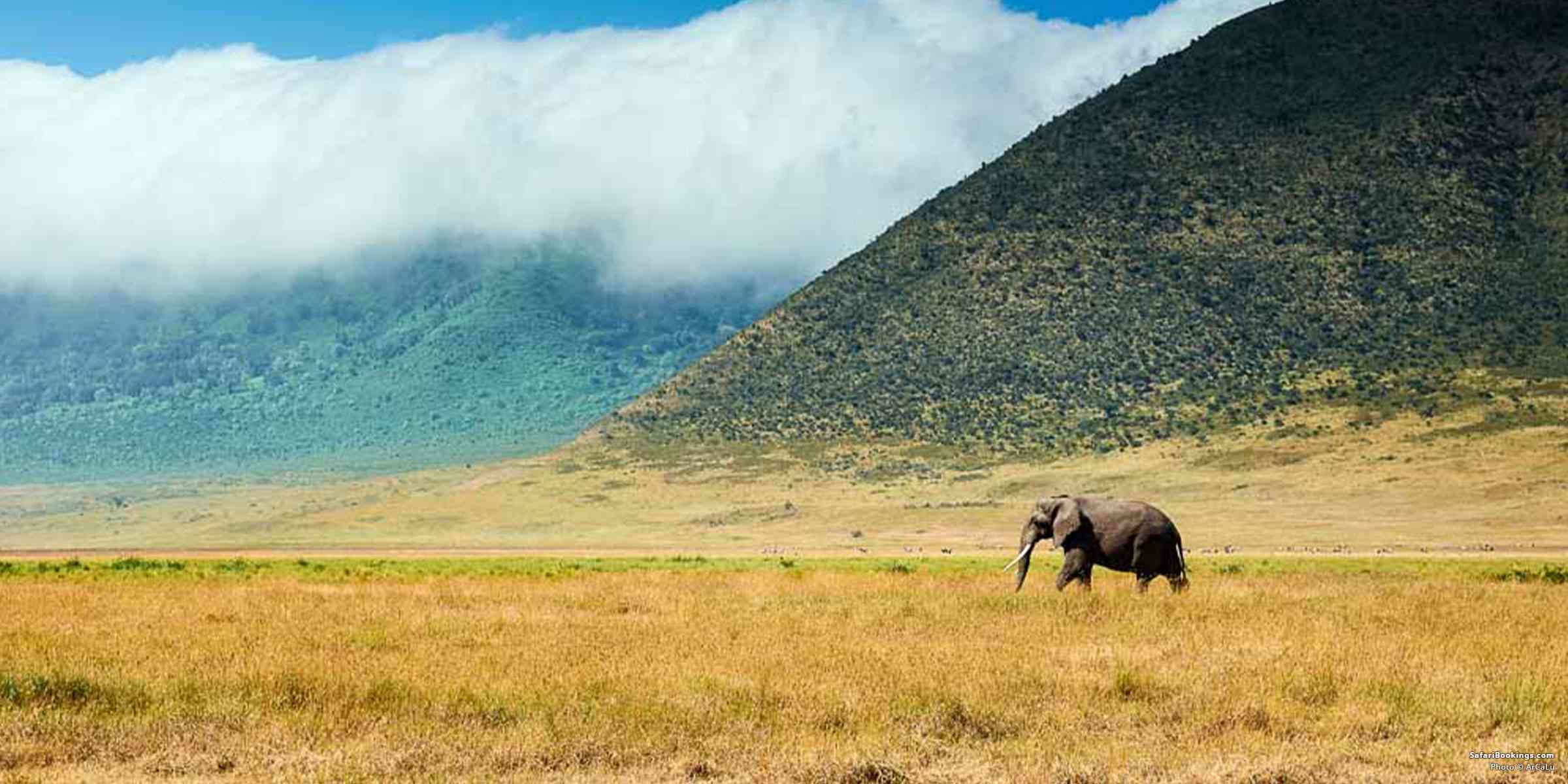 Guide to Visiting Ngorongoro Crater – All You Need To Know