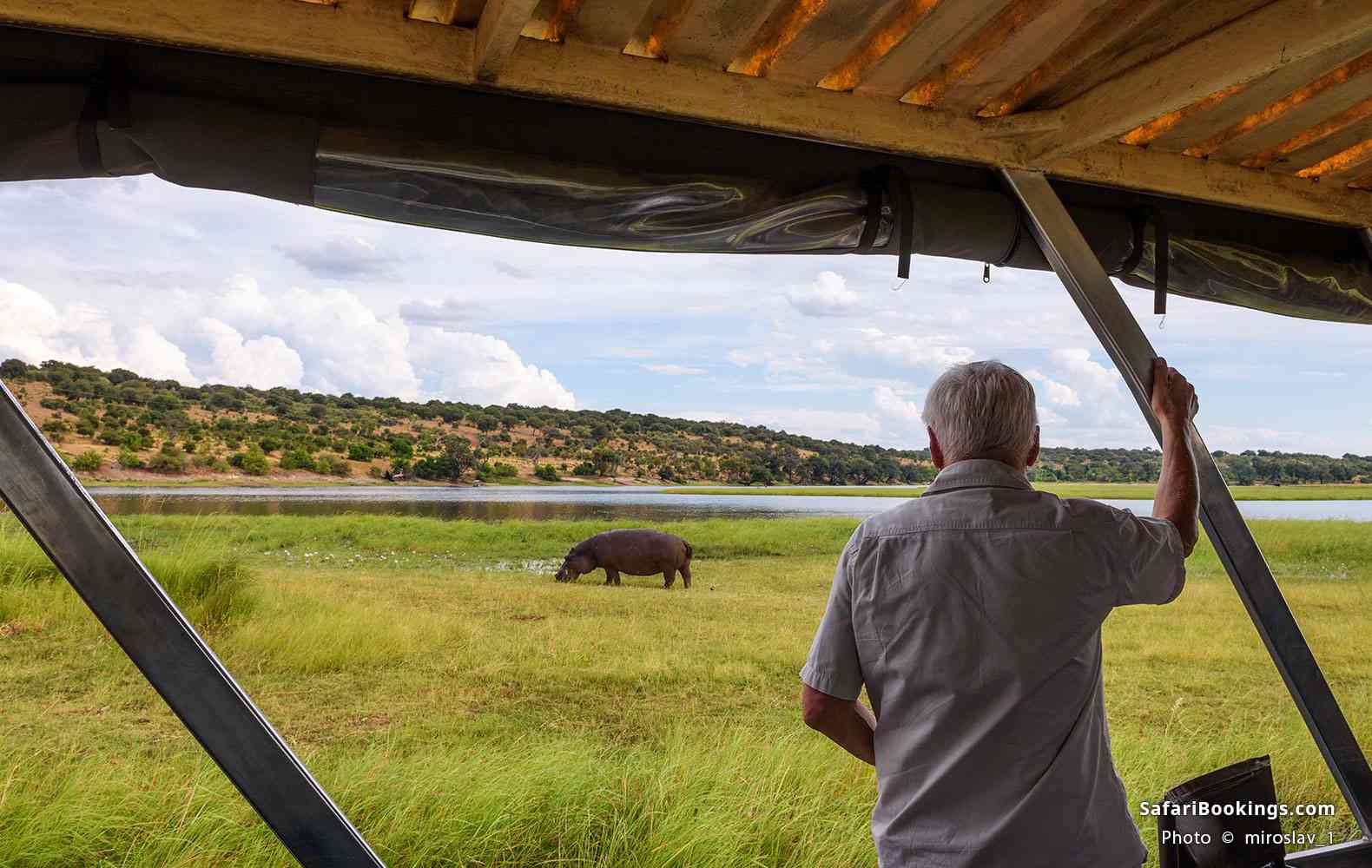 Safari-goer viewing a hippo in Chobe National Park