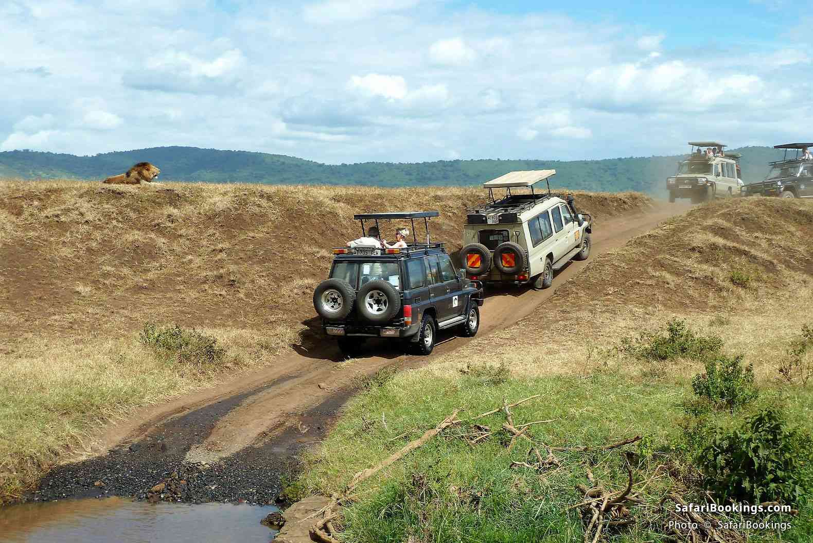 Vehicles crossing the Ngorongoro Crater rim