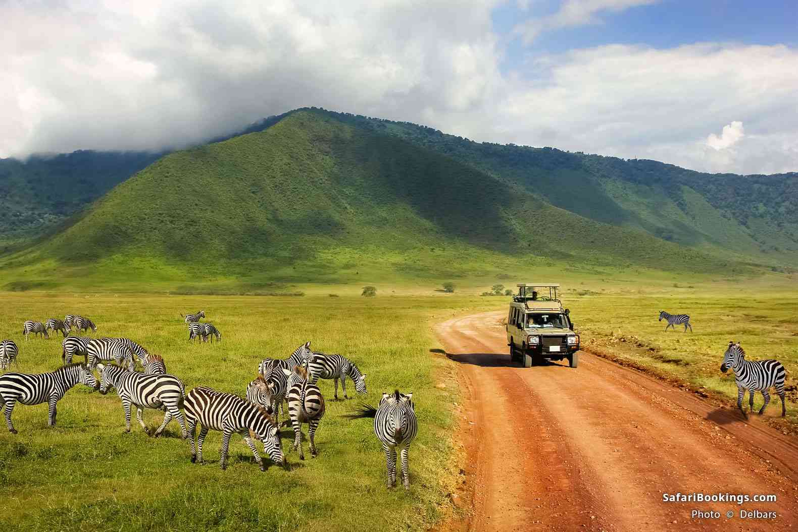 Safari vehicle surrounded by plains zebra in Ngorongoro Crater
