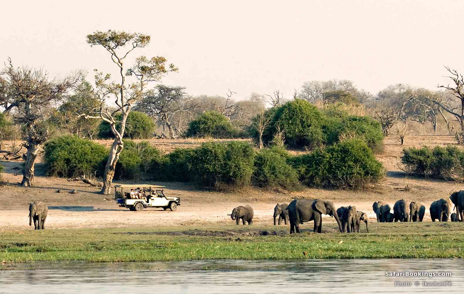Safari vehicle and elephants on the Chobe Riverfront
