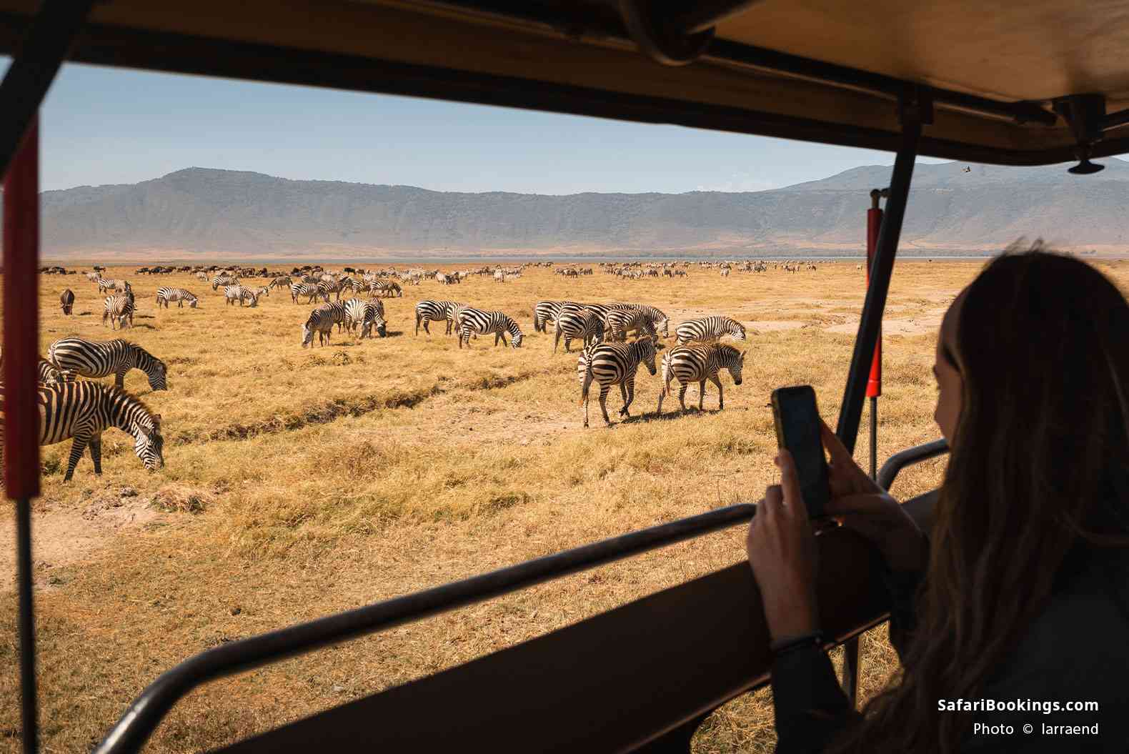 Traveler taking pictures of zebras grazing in the Ngorongoro Crater