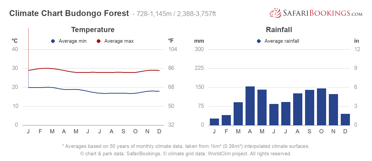 Climate Chart Budongo Forest