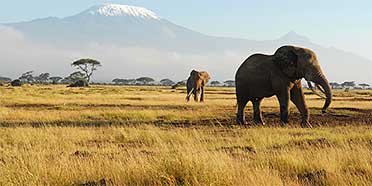 Amboseli National Park