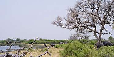 Mudumu National Park