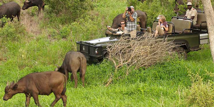 O intelligence overview