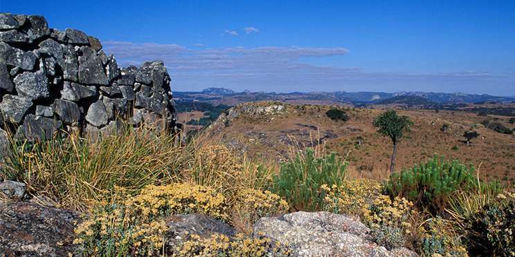 Nyanga National Park Best Time to Visit, Wildlife & More!