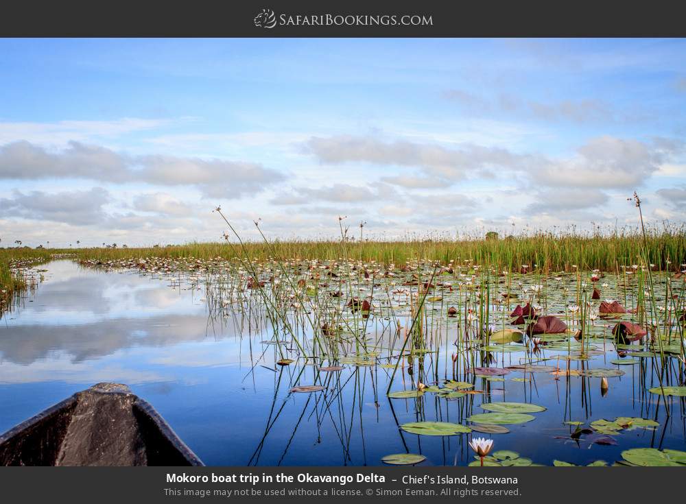 Mokoro trip in the Okavango Delta in Chief's Island, Botswana