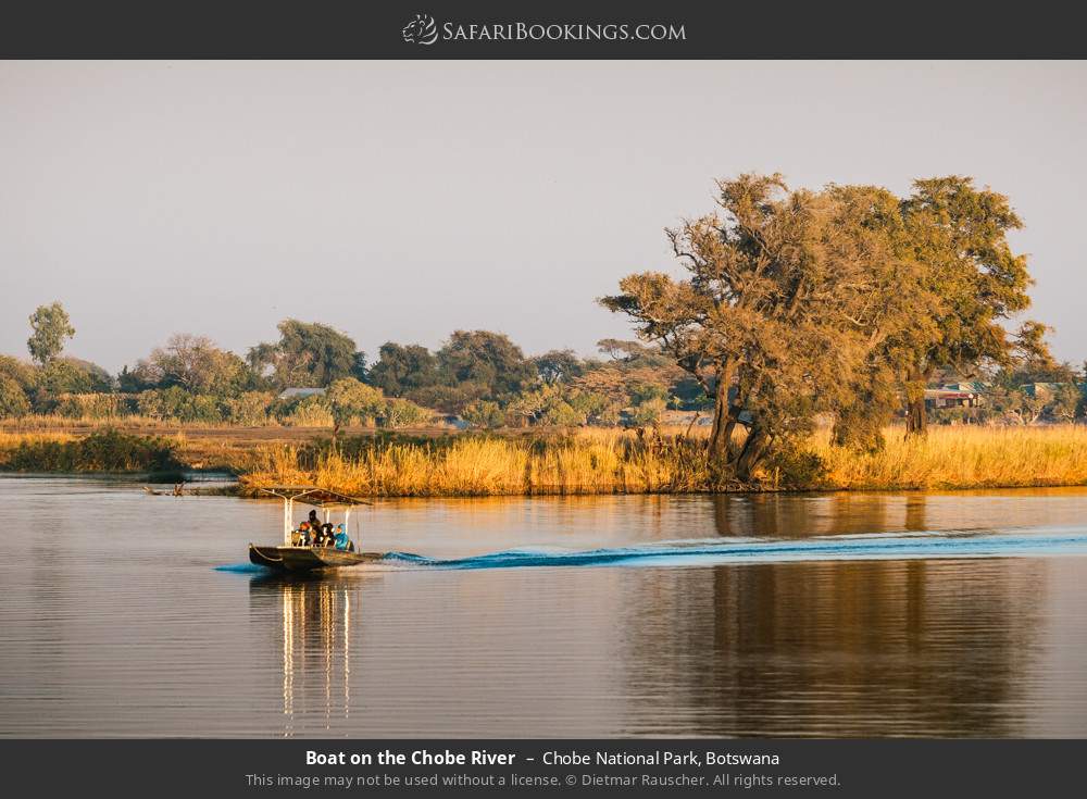 Boat on the Chobe River in Chobe National Park, Botswana