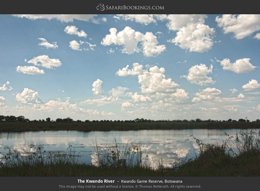 The Kwando River in Kwando Game Reserve, Botswana
