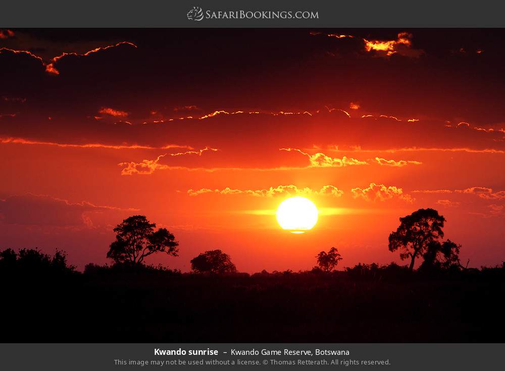 Kwando sunrise in Kwando Game Reserve, Botswana
