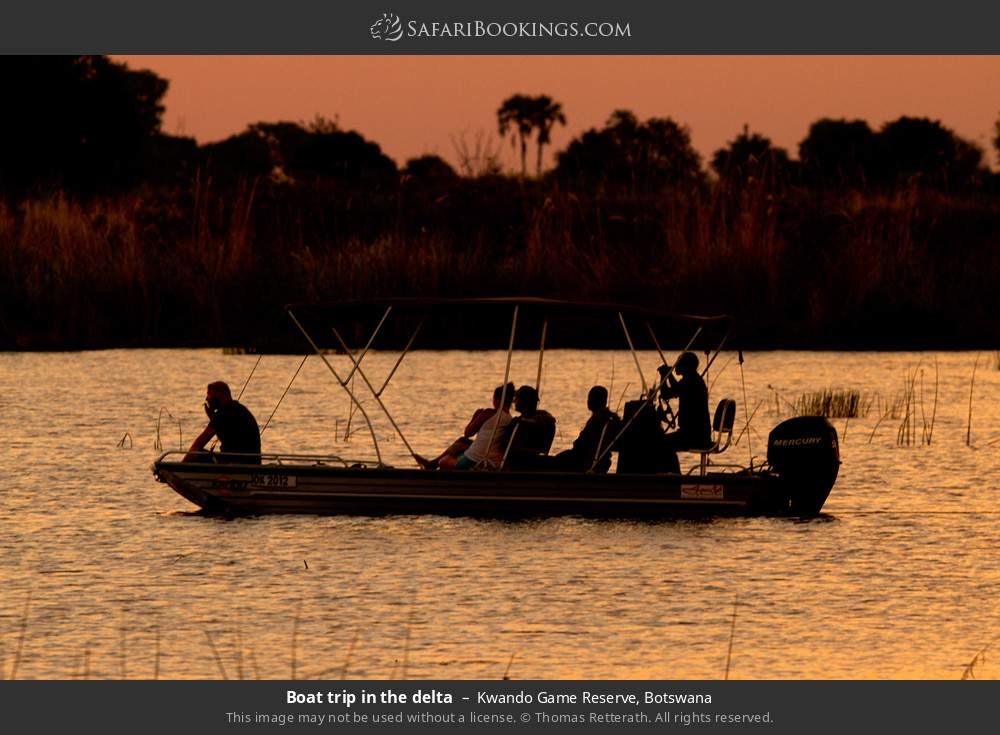 Boat trip in the delta in Kwando Game Reserve, Botswana