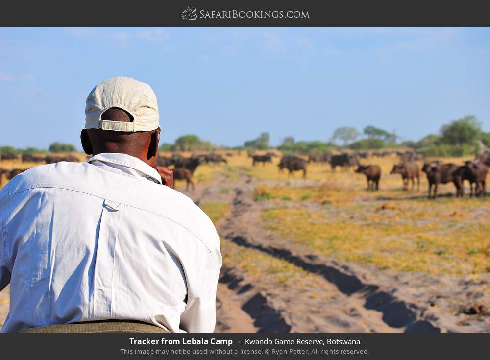 Tracker from Lebala Camp in Kwando Game Reserve, Botswana