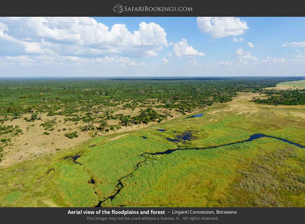 Aerial view of the floodplains and woodlands in Linyanti Concession, Botswana