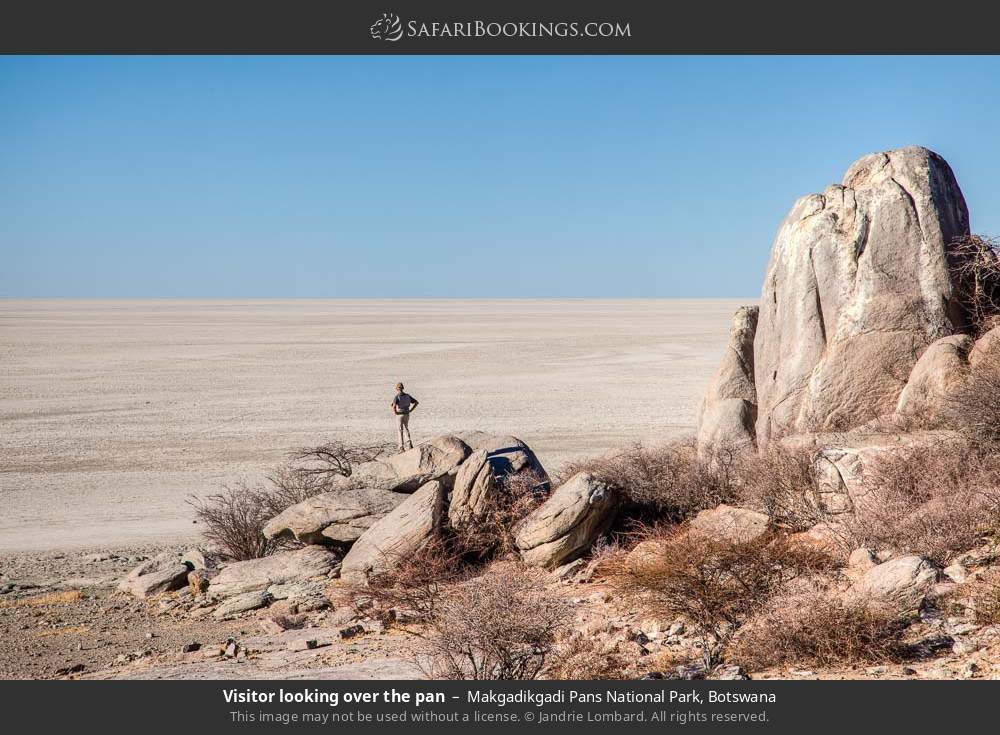 Visitor looking over the pans in Makgadikgadi Pans National Park, Botswana